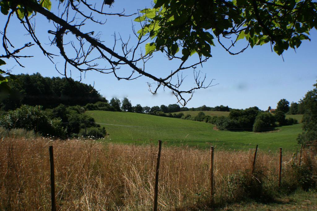Domaine De Romefort Saint-Léonard-de-Noblat Buitenkant foto